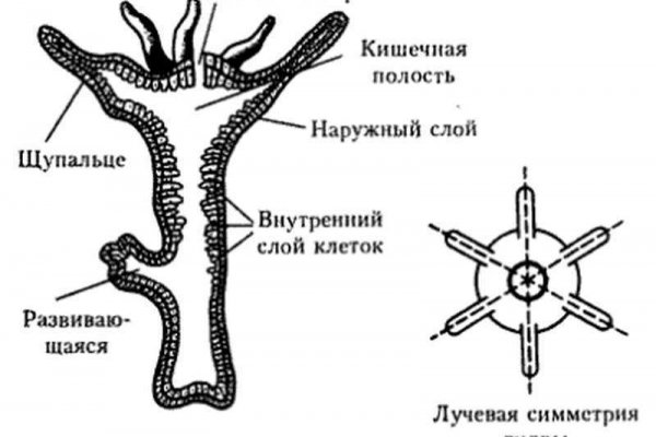 Омг сайт быстрых закладок